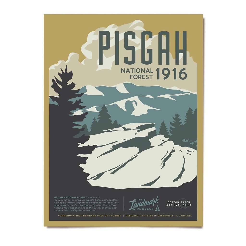 The Landmark Project Pisgah Forest Poster