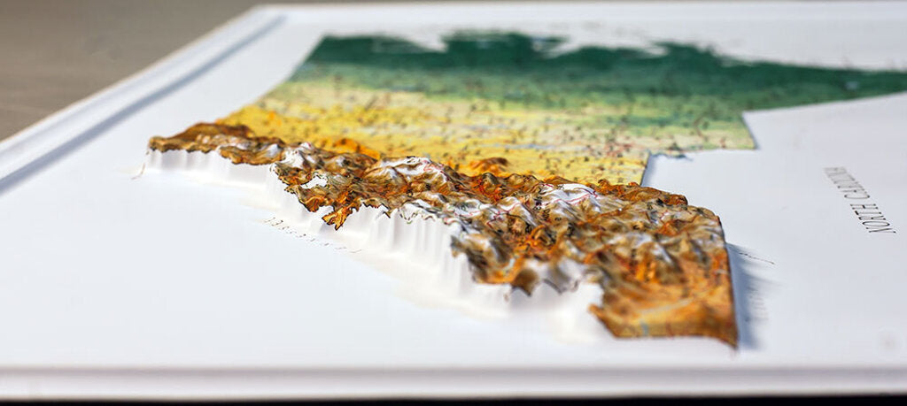 The Map Shop North Carolina Raised Relief Map