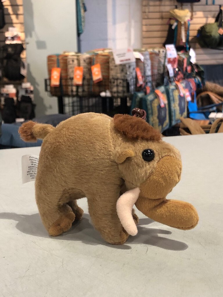 Education Outdoors Wooly Mammoth Plush, 4"