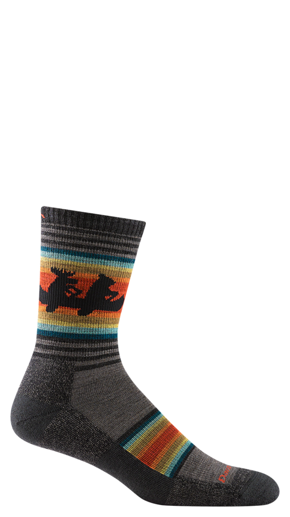 Darn Tough Men's Willoughby Micro Crew Lightweight w/ Cushion Hike Sock