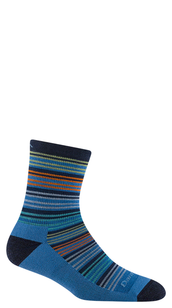 Darn Tough Zebra Canyon Micro Crew Lightweight w/ Cushion Jr. Hike Sock