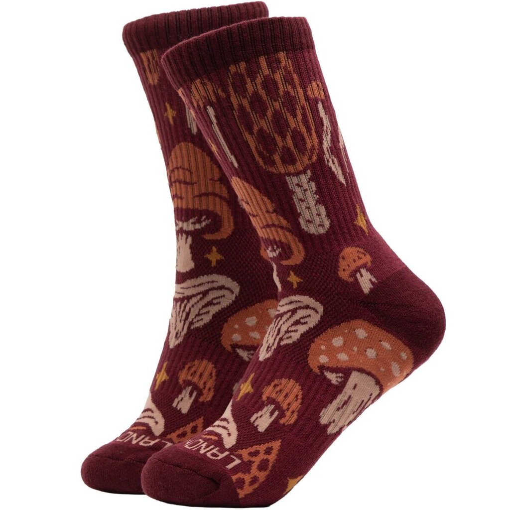 The Landmark Project Forager Sock