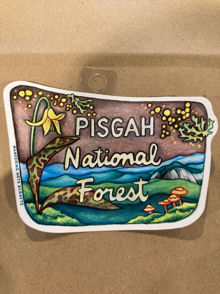 Wandering Arts Pisgah National Forest