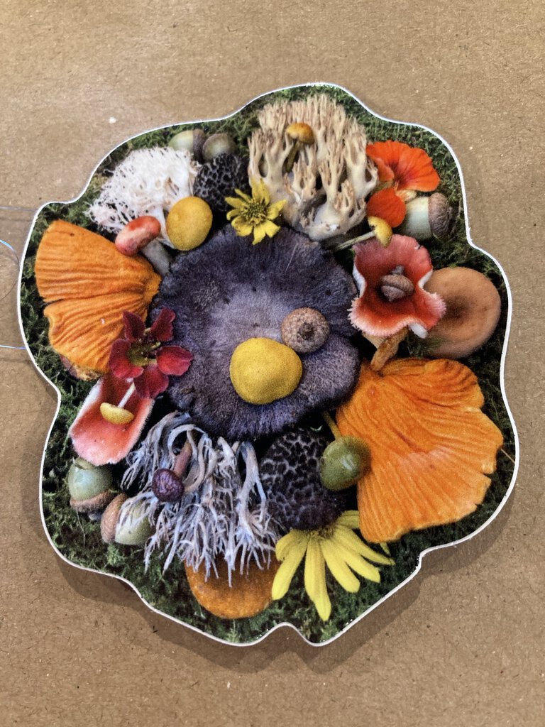 Kimberly Poovey Realistic Mushroom Sticker