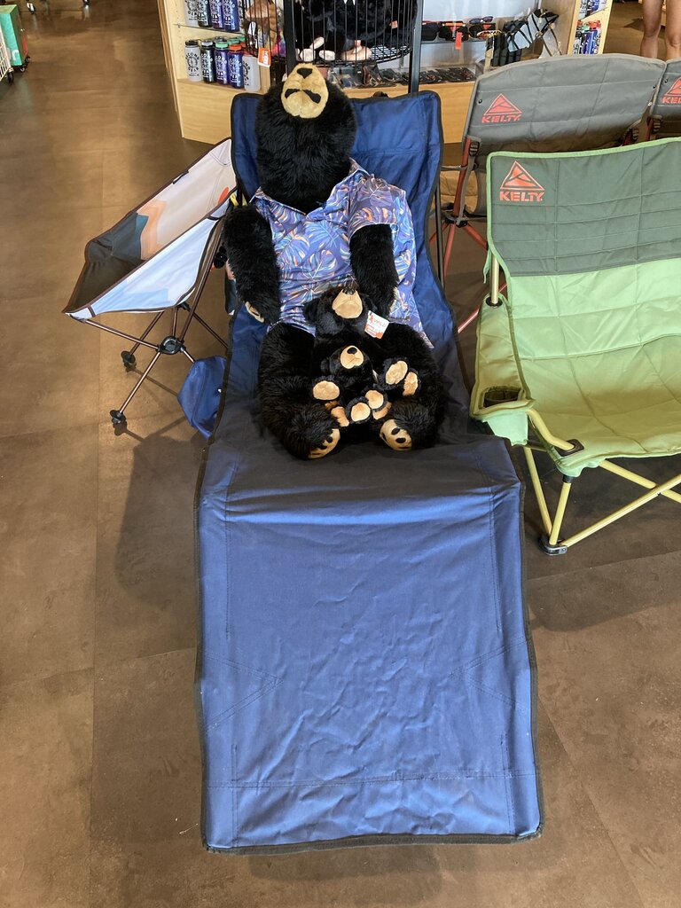 Unbranded Camping Recliner, Blue, OS