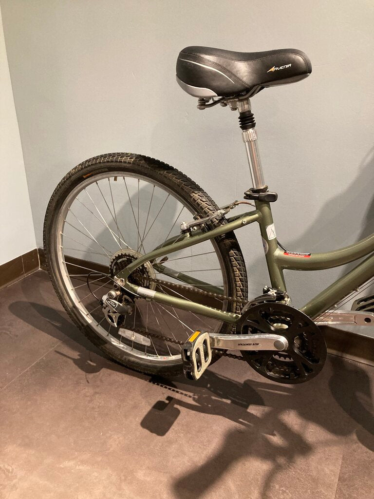 Raleigh Women's Venture 3.0, Green, 35cm, 26" Wheel