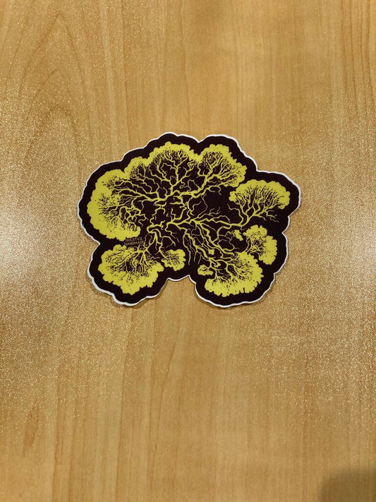 Solstice Handmade Slime Mold Sticker