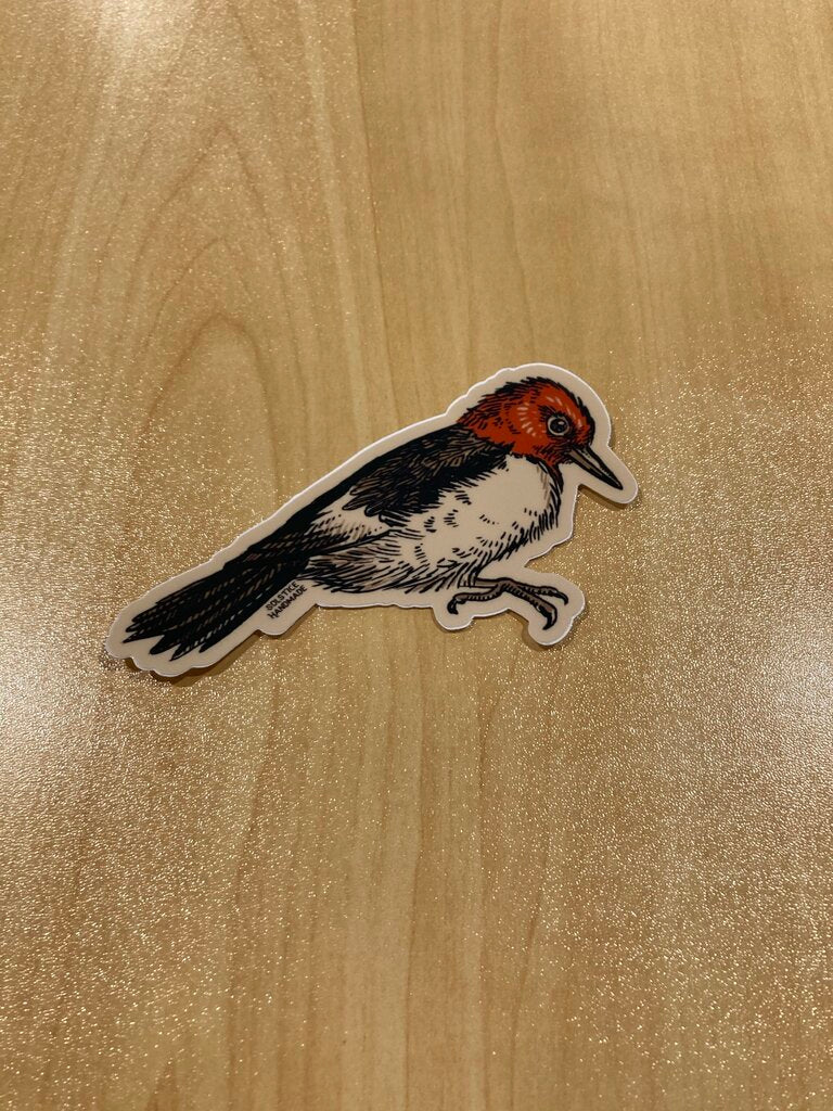 Solstice Handmade Redheaded Woodpecker Sticker