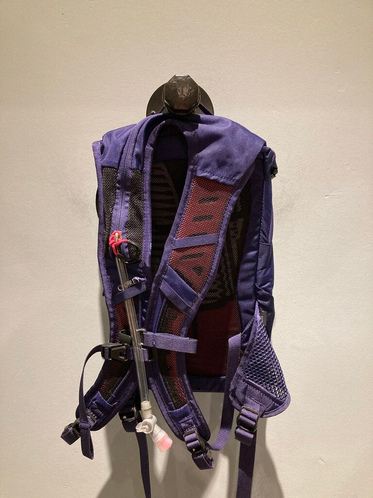 Osprey Raven JR Pack, Purple