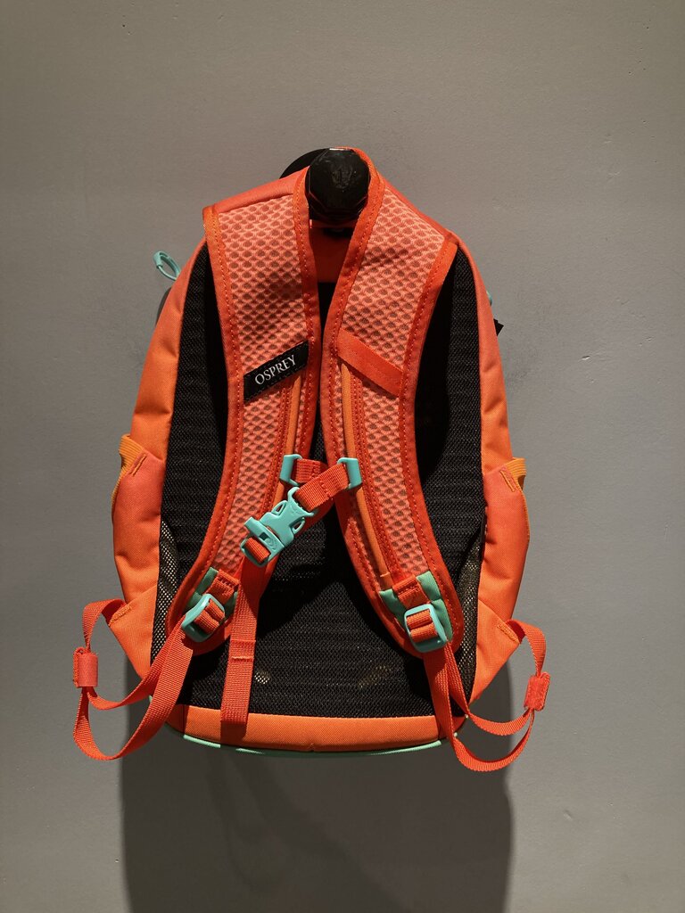 Osprey Daylite JR Pack, Orange/Green