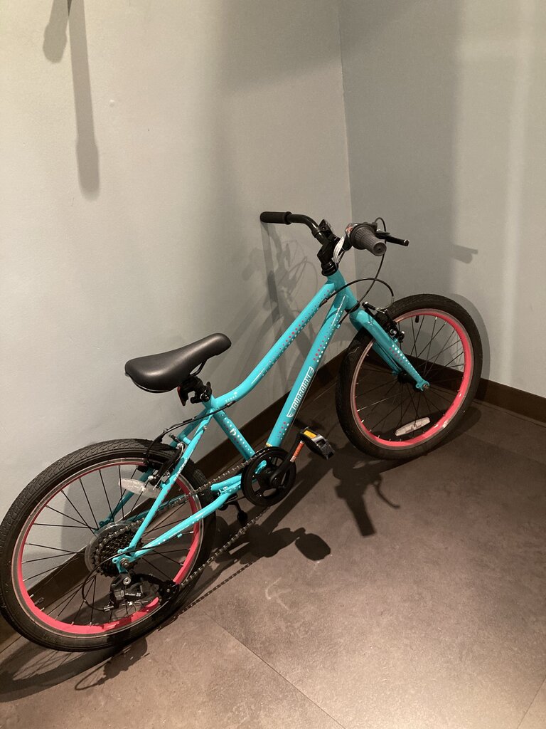 Guardian Ethos Kids Bike, Teal, Size 11.5", 20" Wheel