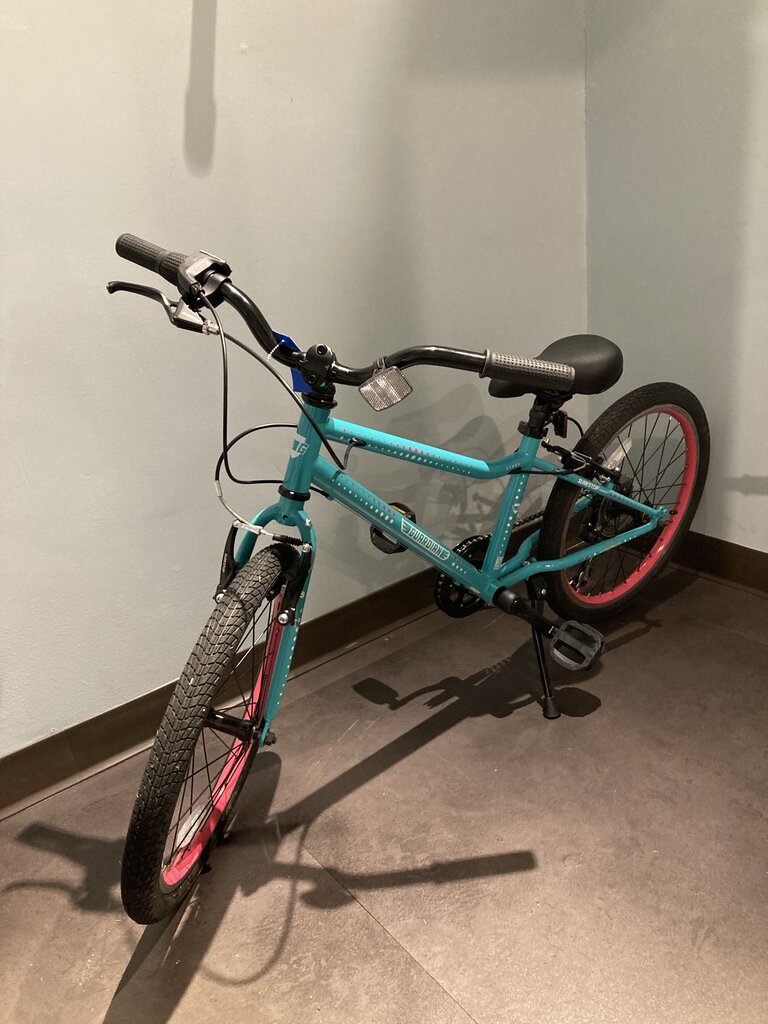 Guardian Ethos Kids Bike, Teal, Size 11.5", 20" Wheel