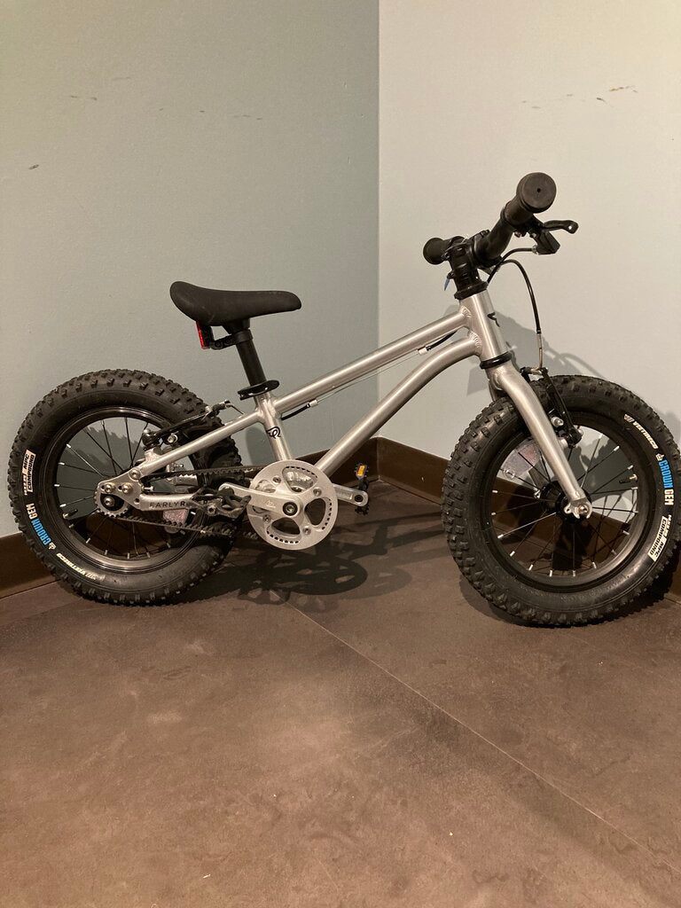 Early Rider Seeker Kids Bike, Silver/Black, 14"