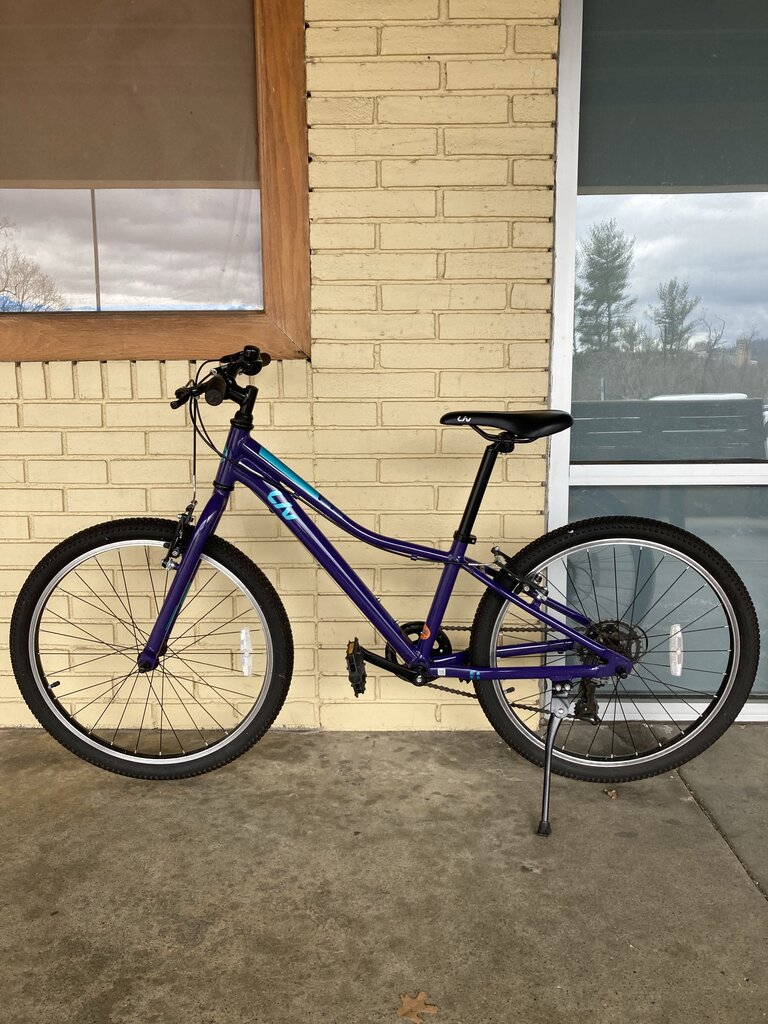 Liv Enchant 24 Lite Hybrid Bike, Purple, 12" Frame/24" Tires