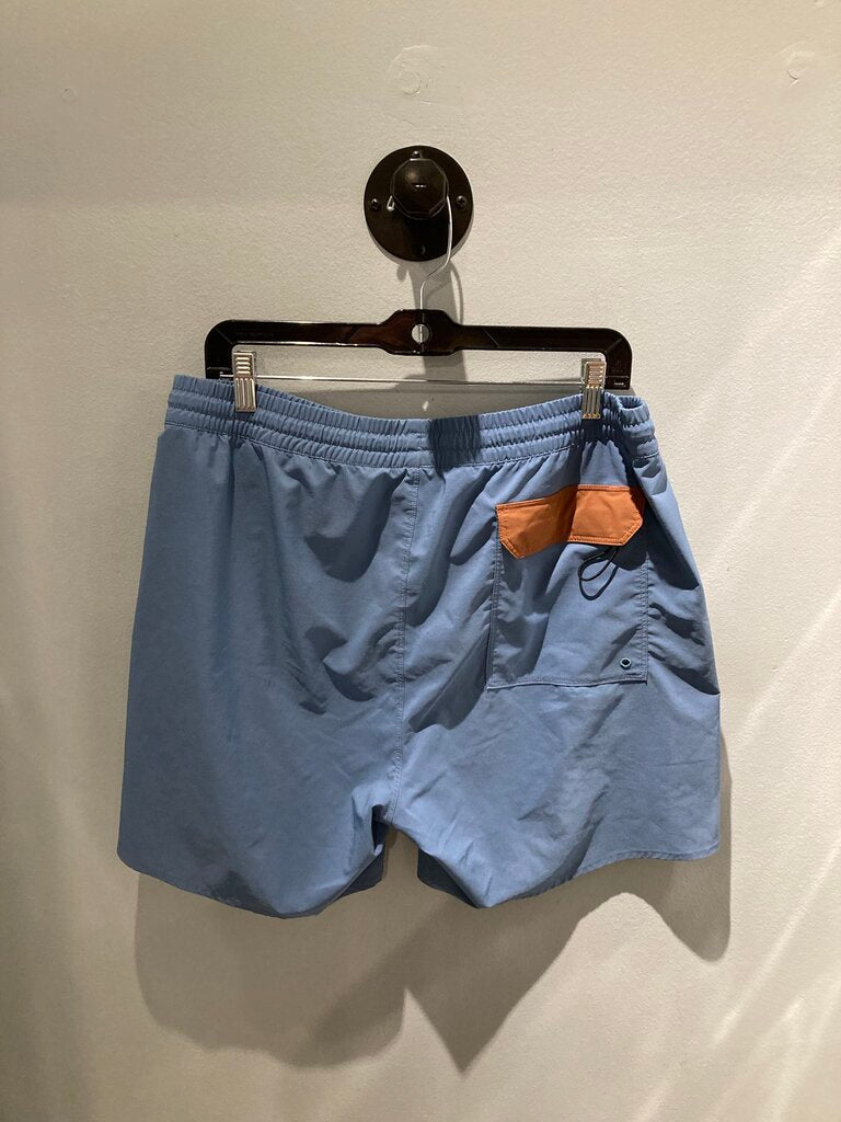 Patagonia Shorts, Blue, Men's L?