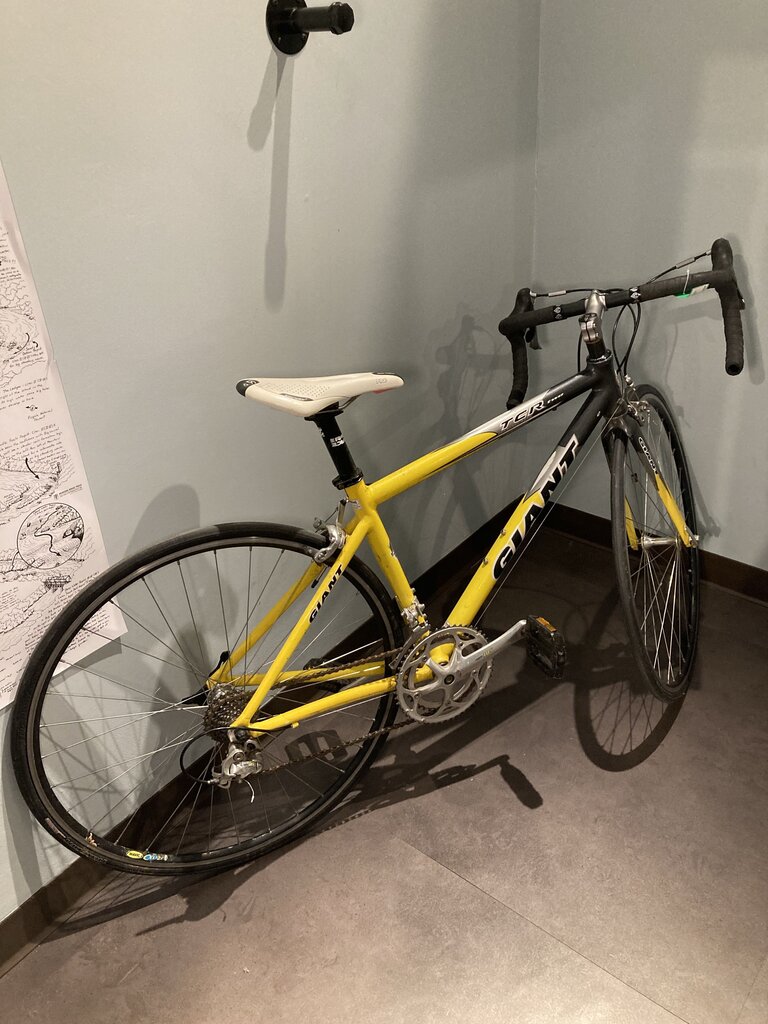 Giant TCR Bike, Yellow/Grey, 44