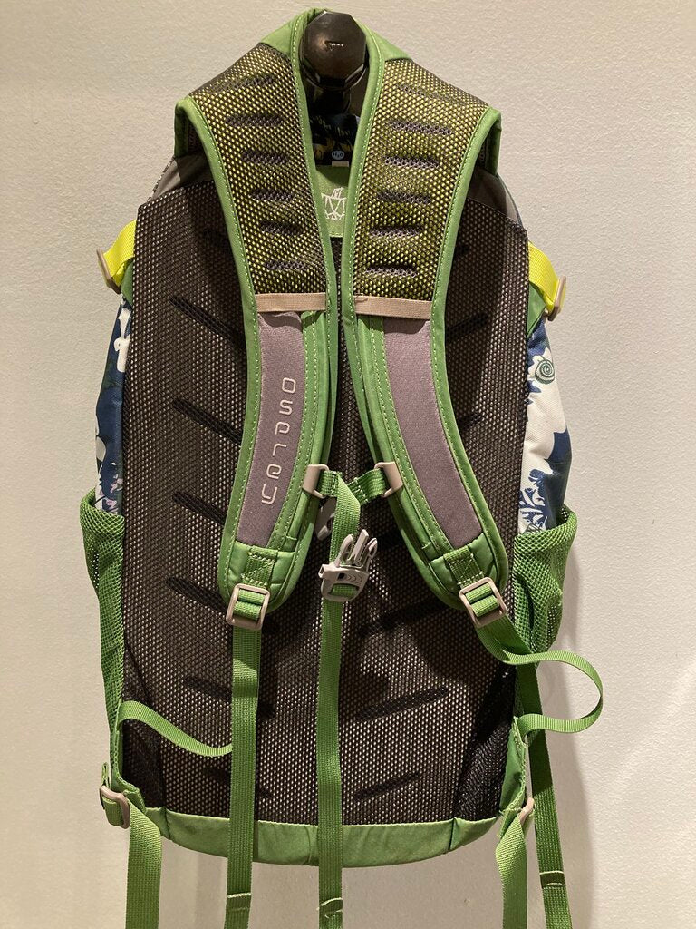 Osprey Daylite Plus Pack, Green, 20L