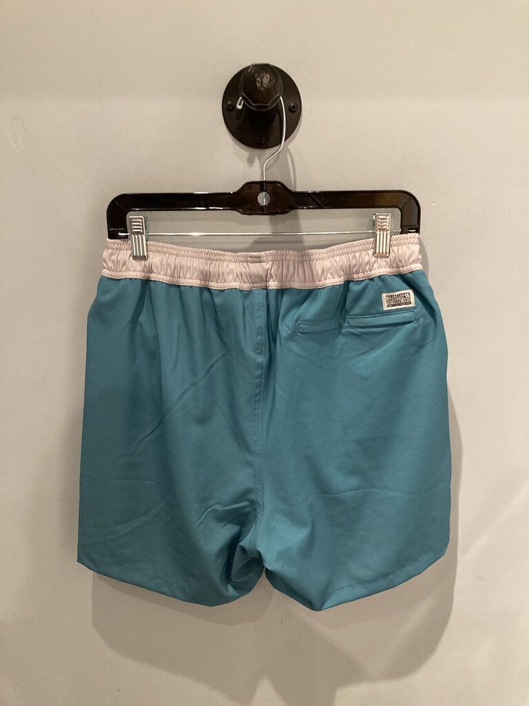 Baja Lama Stretch Trunks, Blue/Stripe, Men's M (Sample)