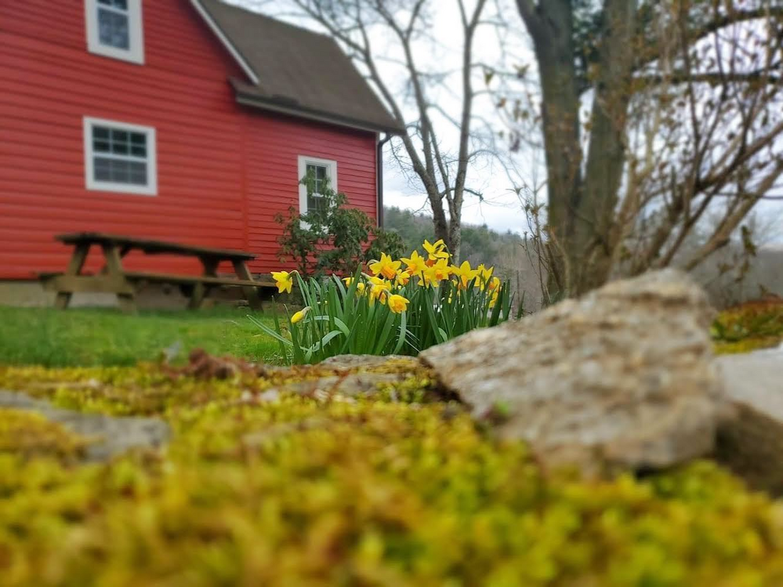 April's First Signs of Spring Photo Contest Winner!