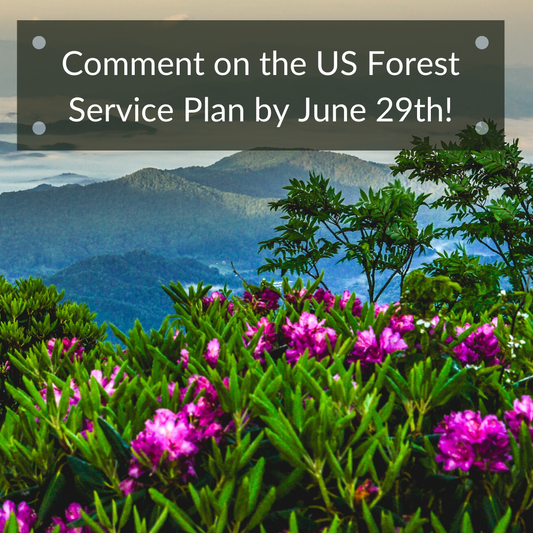 Protect our Forests by Submitting your Comment to USFS!