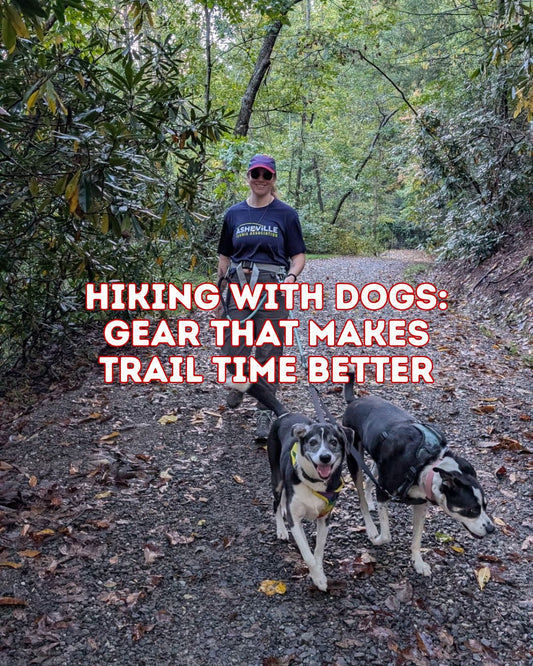Hiking With Dogs: Gear That Makes Trail Time Better