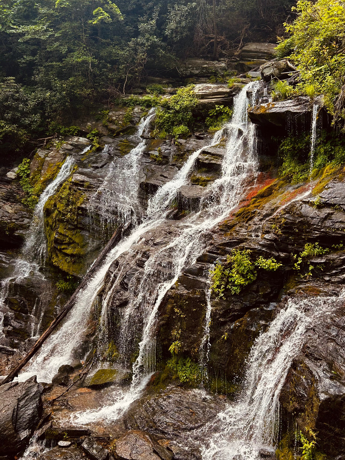 Spring-Ready Hikes Around Asheville