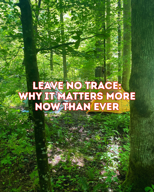 Leave No Trace: Why It Matters More Than Ever