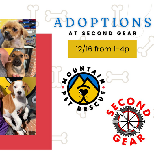 Adoption Event with Mountain Pet Rescue!