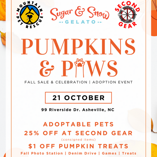 Pumpkins & Paws Fall Sale & Celebration