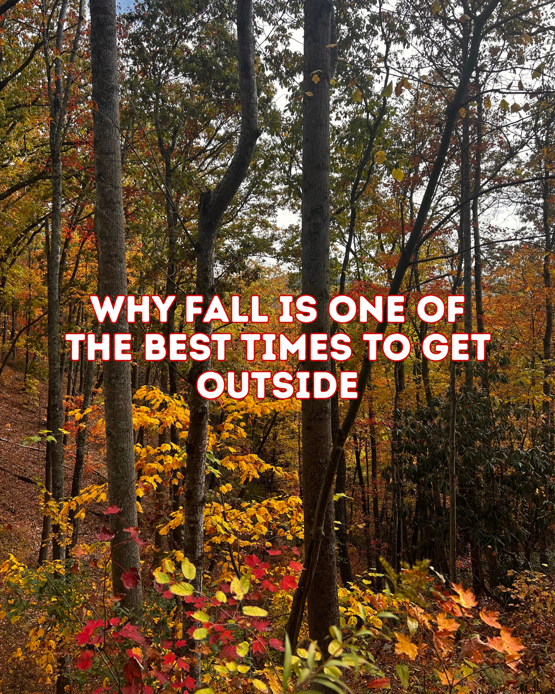 Why Fall Is One of the Best Times to Get Outside
