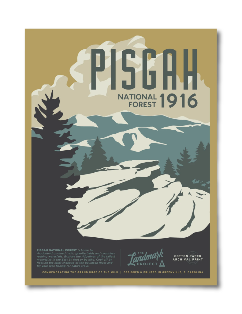 The Landmark Project Pisgah Forest Poster