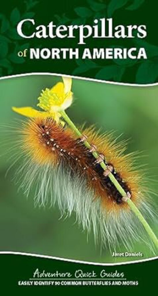 Caterpillars of North America Field Guide, Jaret Daniels