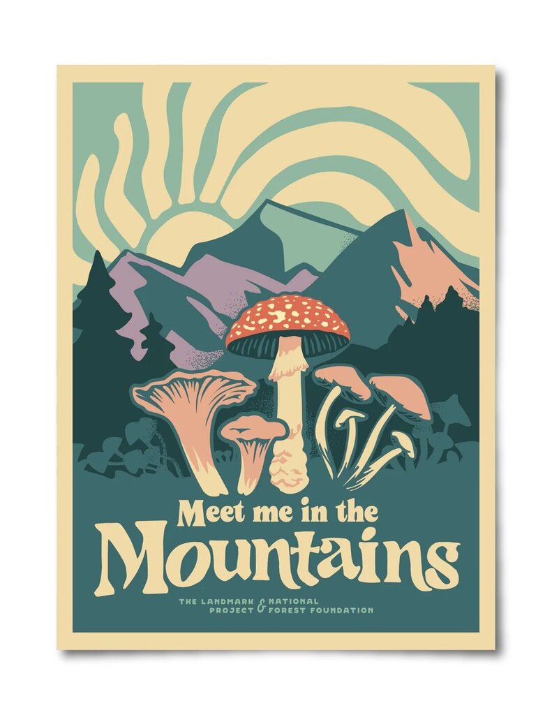 The Landmark Project Meet Me in the Mountains Poster