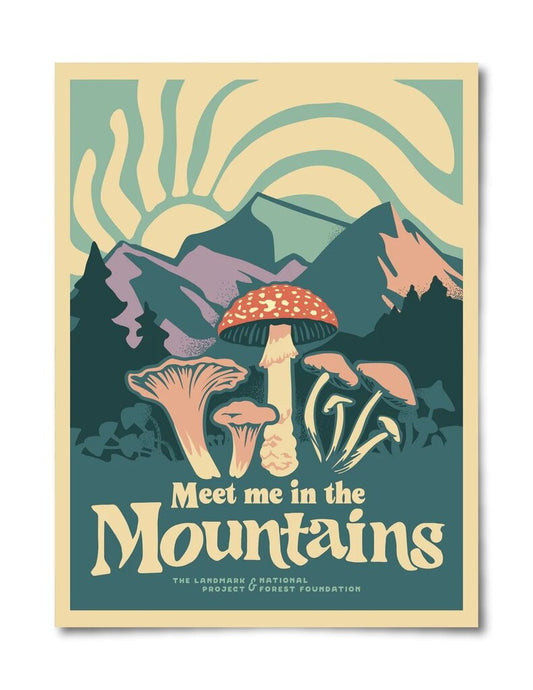The Landmark Project Meet Me in the Mountains Poster