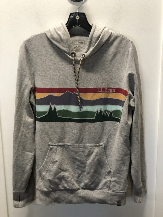 LL Bean Pullover Hoodie, Grey/Multicolor Logo, Men's M