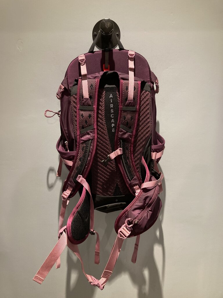 Osprey Sportlite, Purple/Pink, 25L