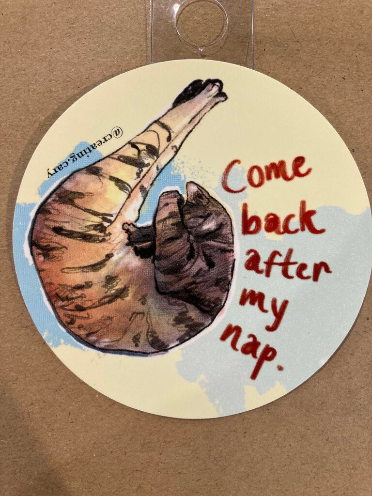 Gingerly Designs After My Nap Cat