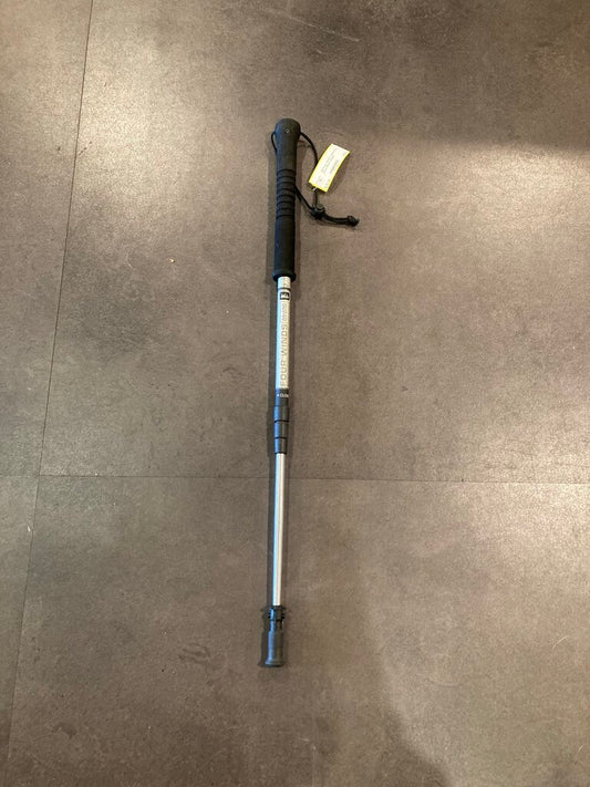 REI Four Winds Trekking Pole, Silver/Black (single)