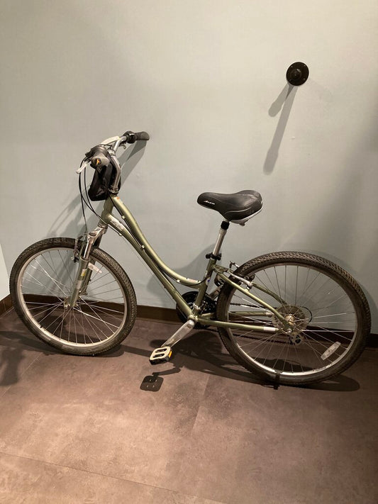 Raleigh Women's Venture 3.0, Green, 35cm, 26" Wheel