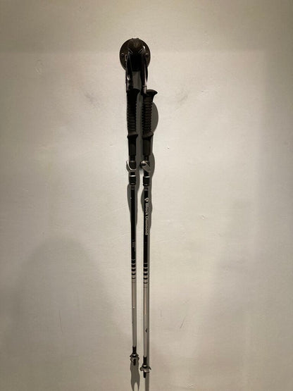 Black Diamond Distance FLZ Hiking Poles, Black/Grey