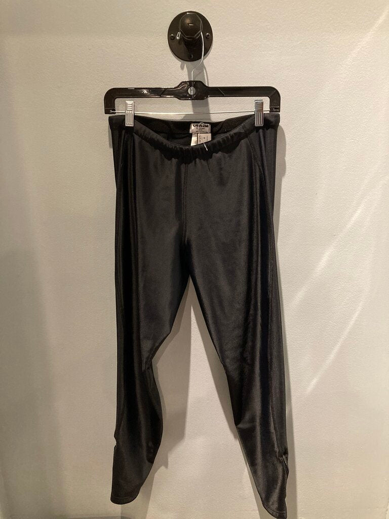 Pearl Izumi Insulated Bike tights, Black, Women's L