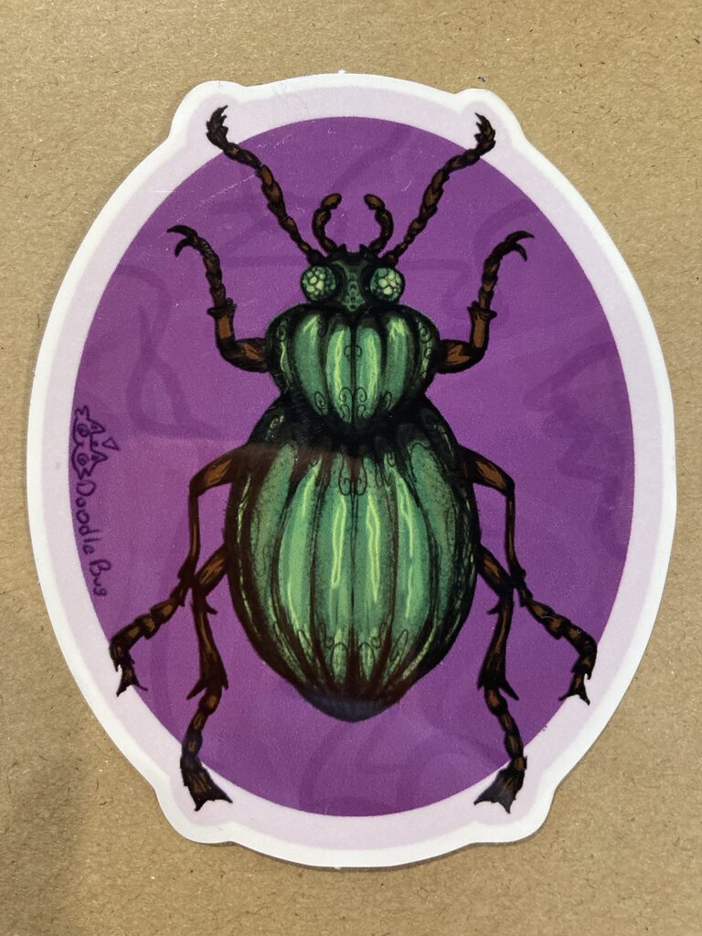 Raya Sly Beetle Sticker