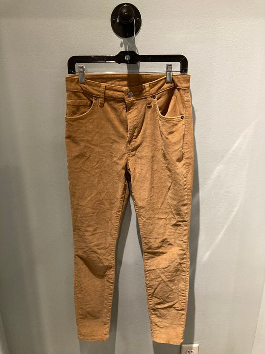 Patagonia Corduroy Pants, Khaki, Women's 28