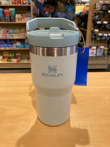 Stanley 24 OZ Waterbottle, Grey