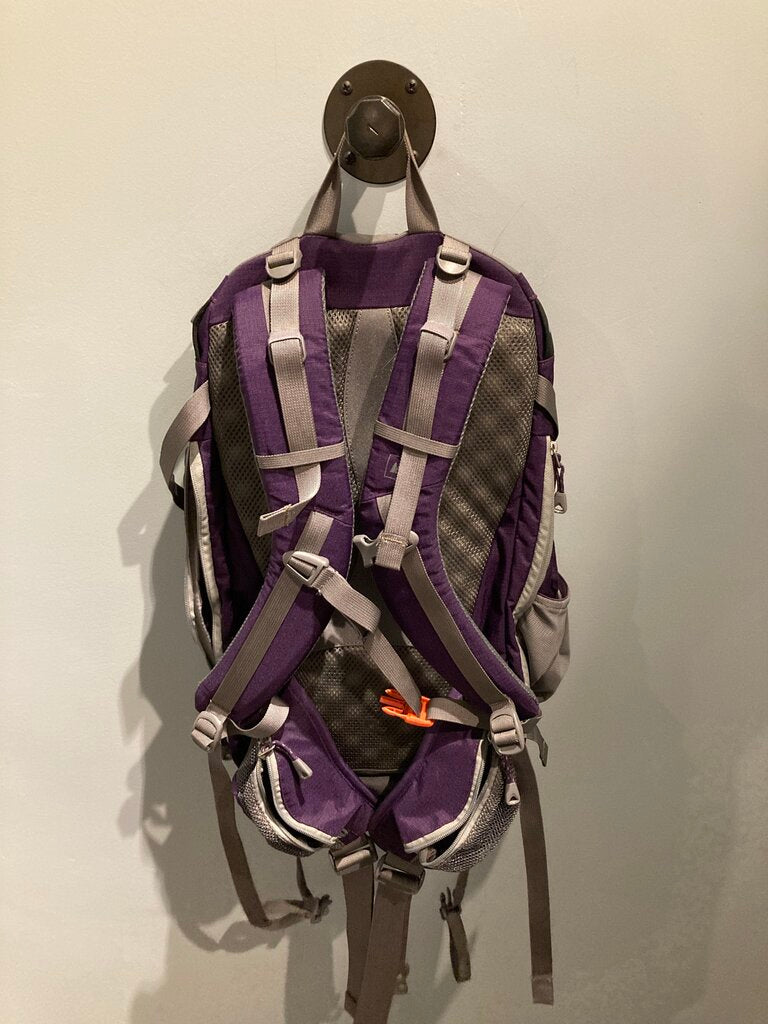 REI Lookout Backpack, Purple/Gerey, 40L