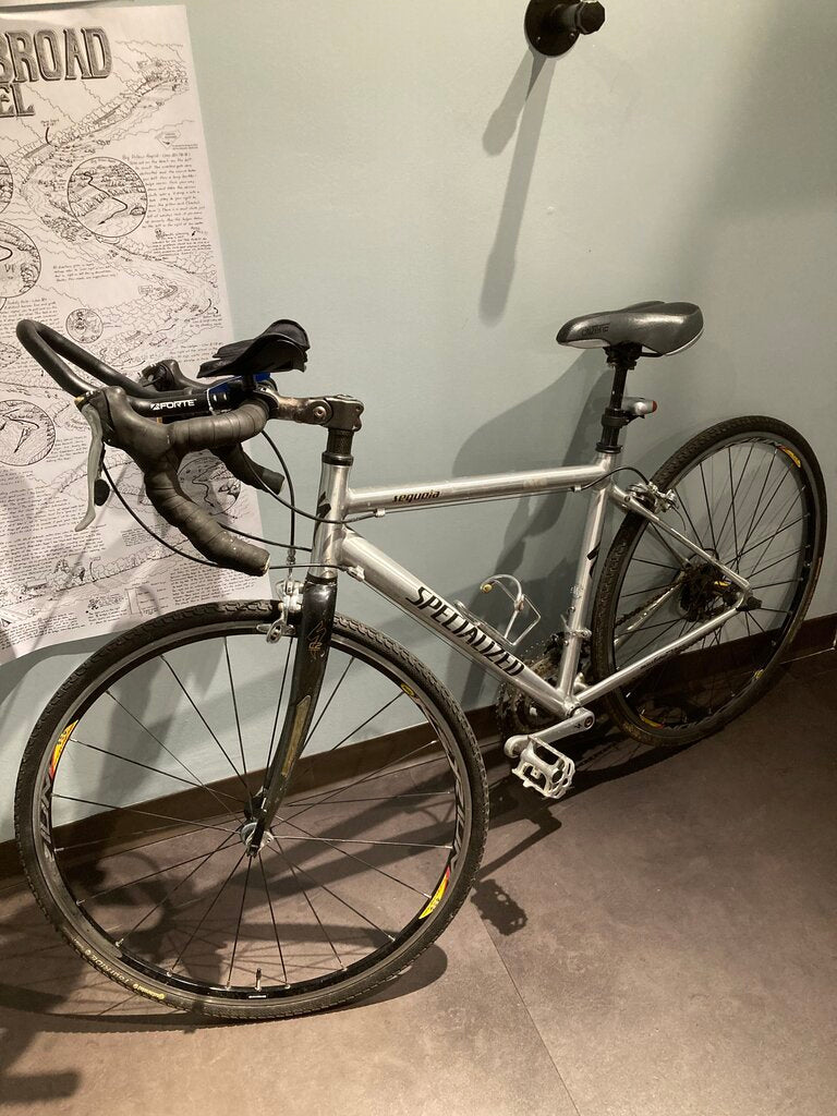 Specialized Sequoia Expert w/ Carbon Fork, Silver/Black, 19"