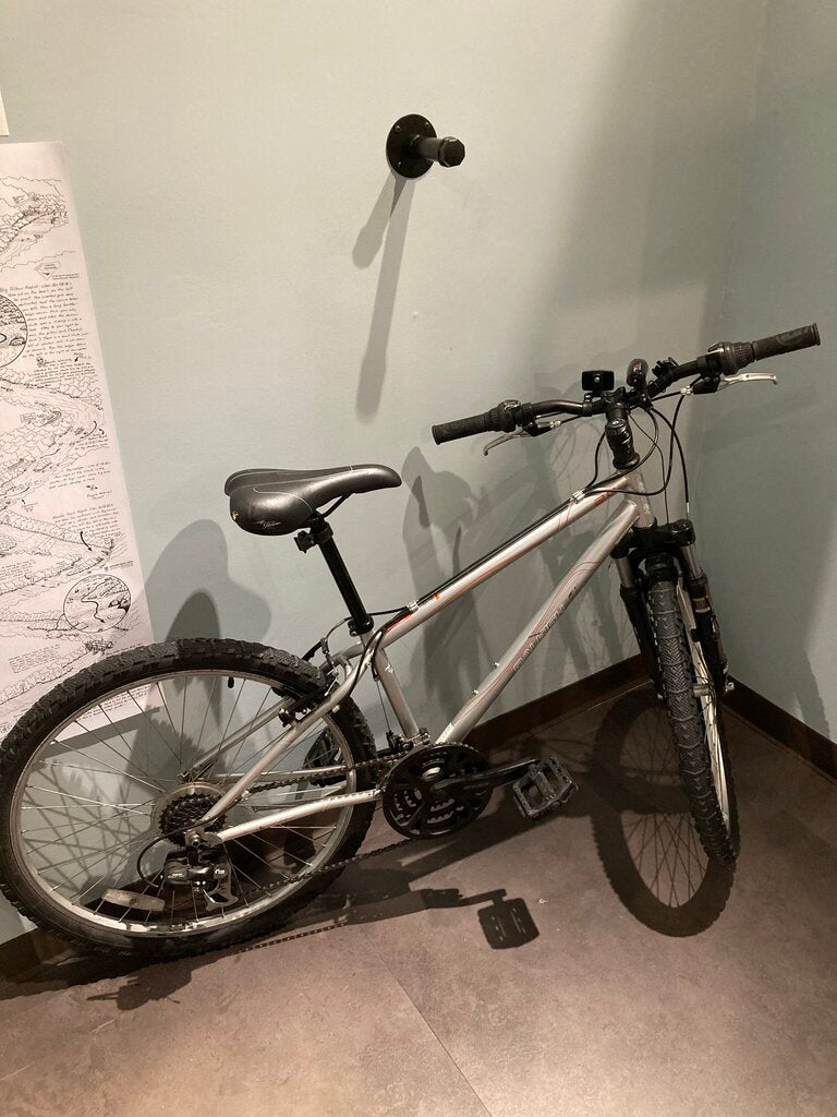 (Bad Fork?) Raleigh Talus 2.0, Silver, 14" Size, 26" Wheel