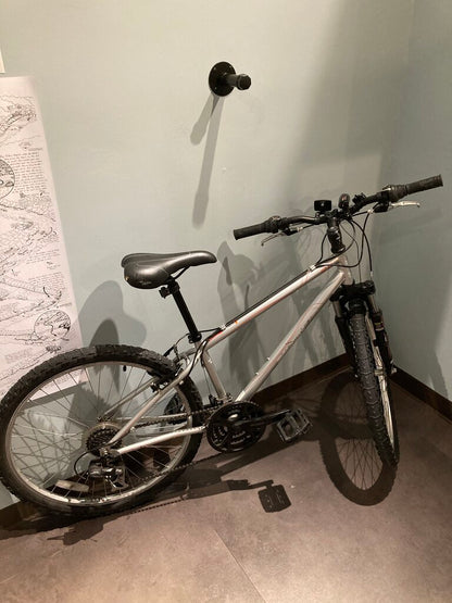 (Bad Fork?) Raleigh Talus 2.0, Silver, 14" Size, 26" Wheel