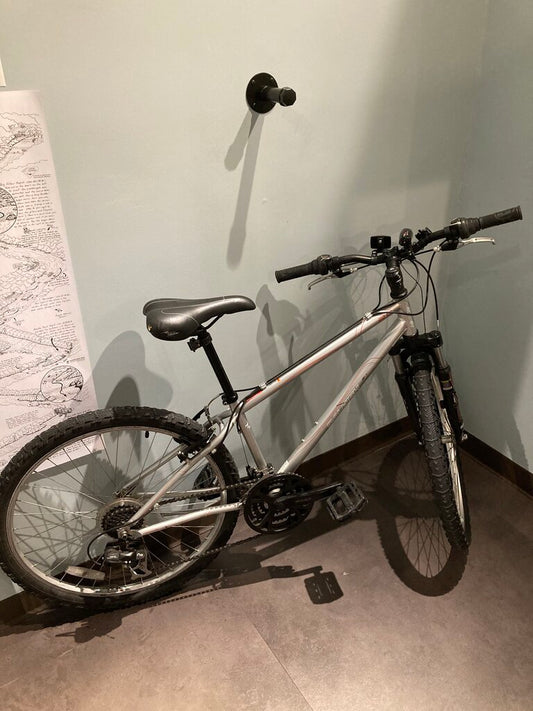 (Bad Fork?) Raleigh Talus 2.0, Silver, 14" Size, 26" Wheel