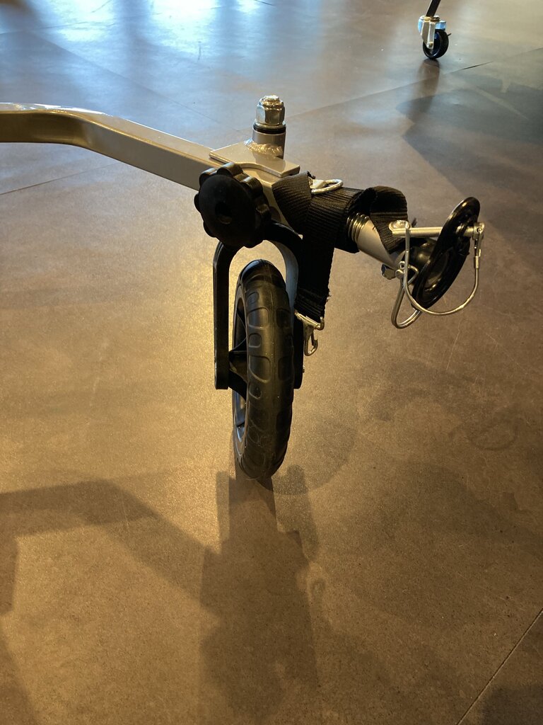 Schwinn Convoy Double Trailer/Stroller, Blue